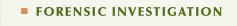 Services - Forensic Investigation